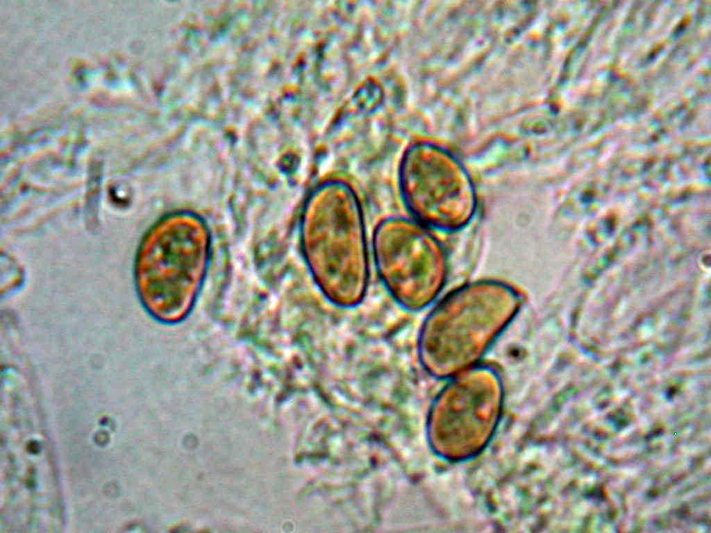 Quiz.z.z.z.z.z......